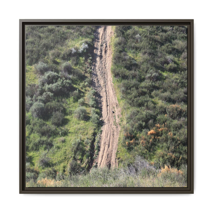 Desert Path Through Sage - Unique Stretched Canvas Wall Art - Art By Earth