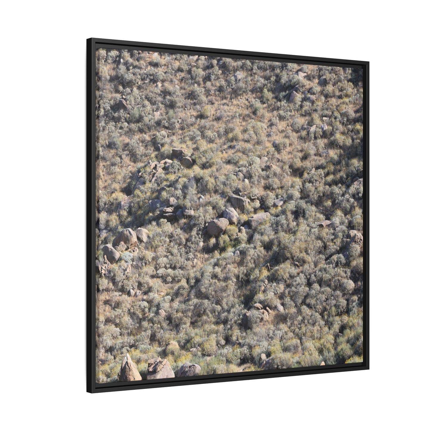 Arid Terrain Study - Unique Stretched Canvas Wall Art - Art By Earth