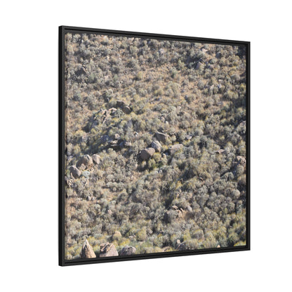 Arid Terrain Study - Unique Stretched Canvas Wall Art - Art By Earth