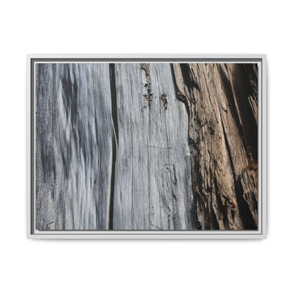 Wood's Lament - Unique Stretched Canvas Wall Art - Art By Earth