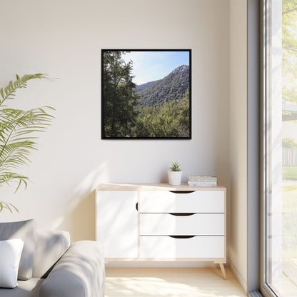Mountain Valley Forest - Unique Stretched Canvas Wall Art