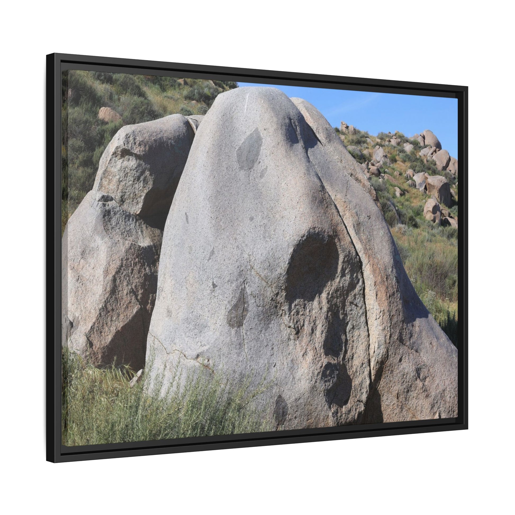 Skull Rock Desert - Unique Stretched Canvas Wall Art - Art By Earth