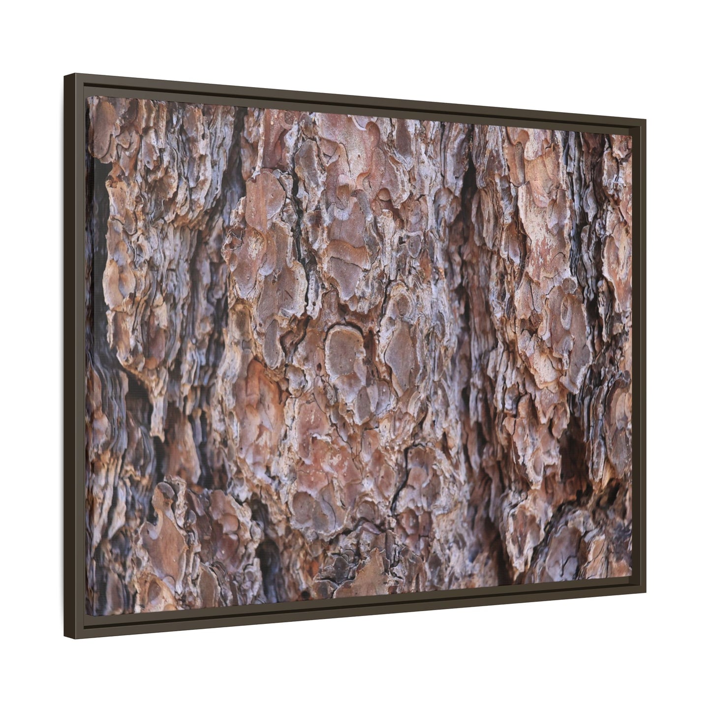 Woody Layers - Unique Stretched Canvas Wall Art - Art By Earth