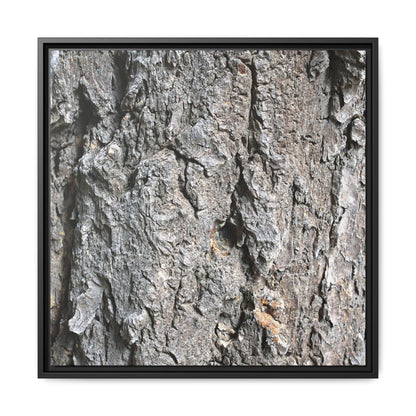 Crusty Exterior - Unique Stretched Canvas Wall Art - Art By Earth