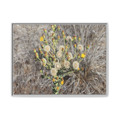 Whispers of the Dry Grass - Unique Stretched Canvas Wall Art - Art By Earth