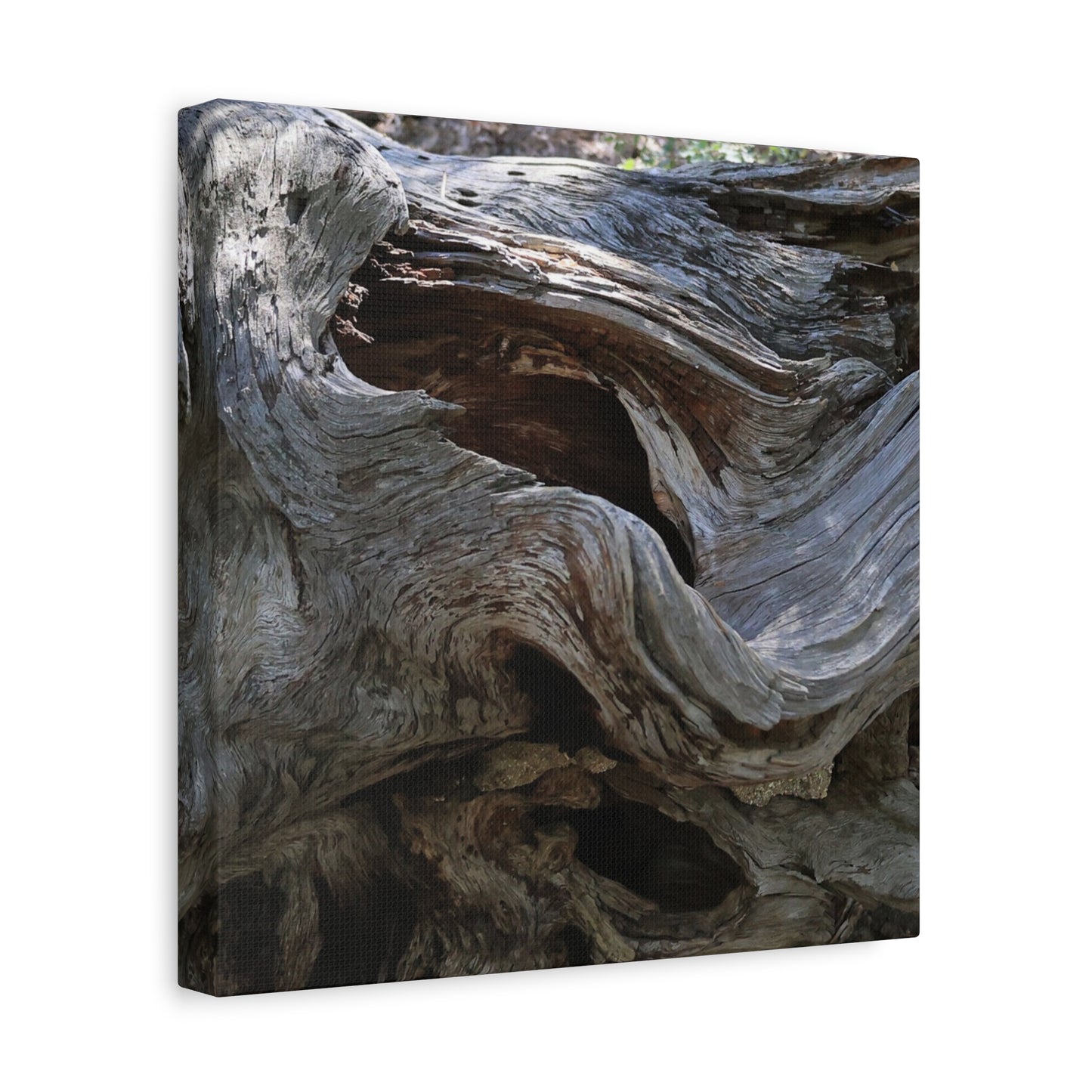 Twisted Fate - Unique Frameless Canvas Wall Art - Art By Earth