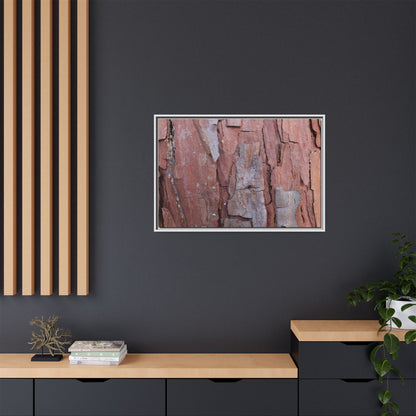 Peeling Bark - Unique Stretched Canvas Wall Art - Art By Earth
