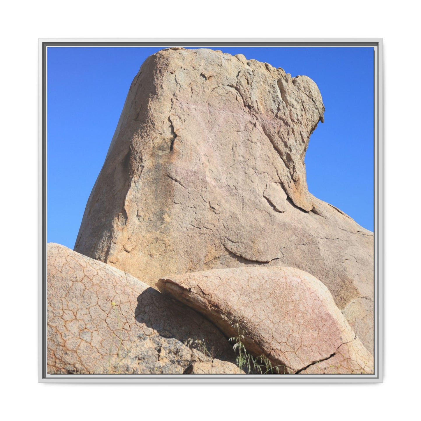 Rocky Sentinel - Unique Stretched Canvas Wall Art - Art By Earth