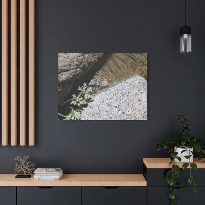 Between Stone and Sand - Unique Frameless Canvas Wall Art - Art By Earth