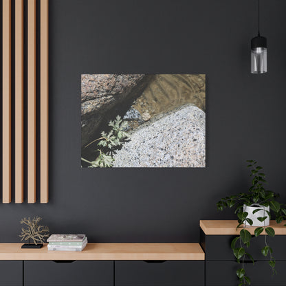 Between Stone and Sand - Unique Frameless Canvas Wall Art - Art By Earth