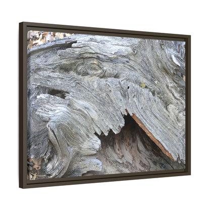 Driftwood Dreams - Unique Stretched Canvas Wall Art - Art By Earth