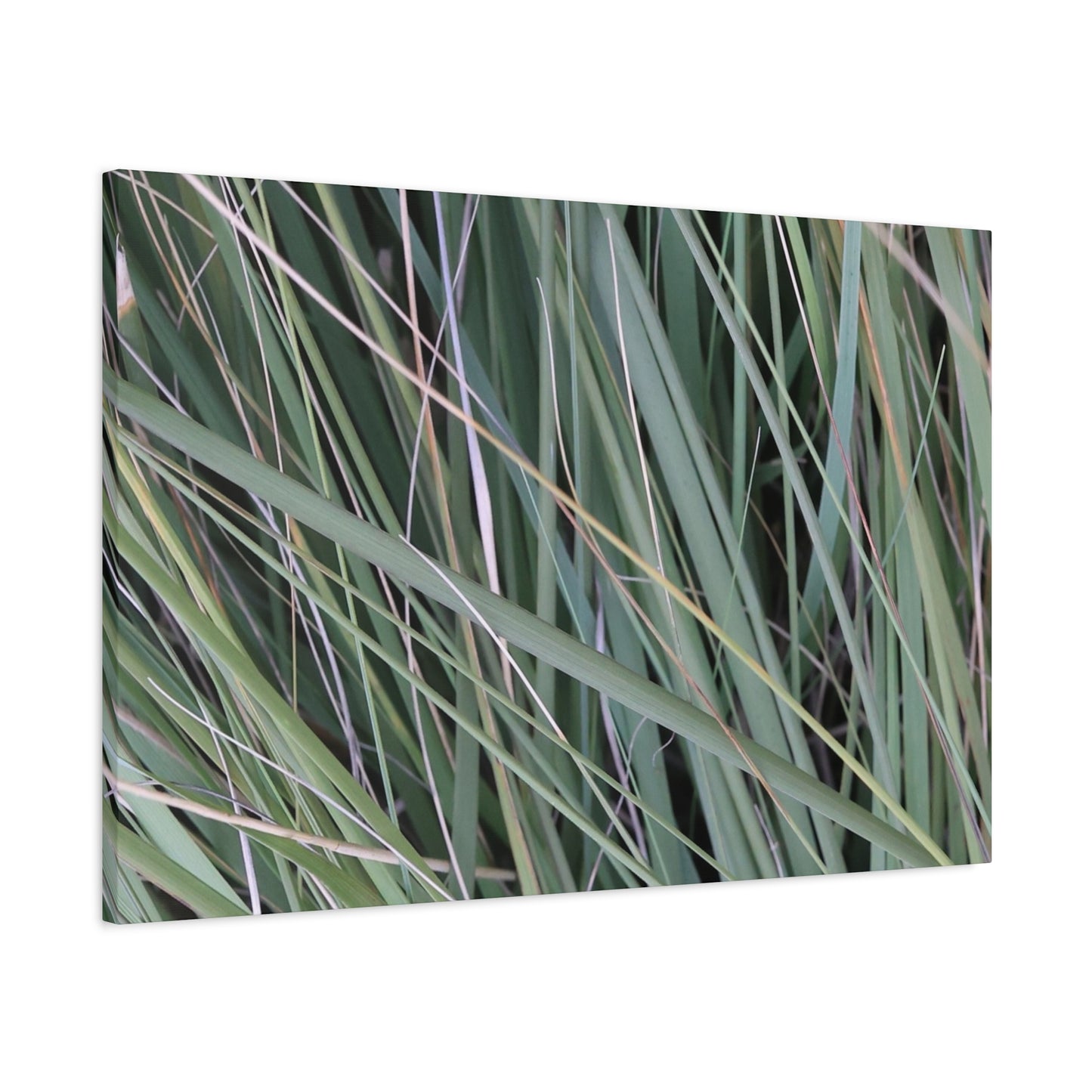 Whispers of Green - Unique Frameless Canvas Wall Art - Art By Earth