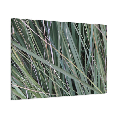 Whispers of Green - Unique Frameless Canvas Wall Art - Art By Earth