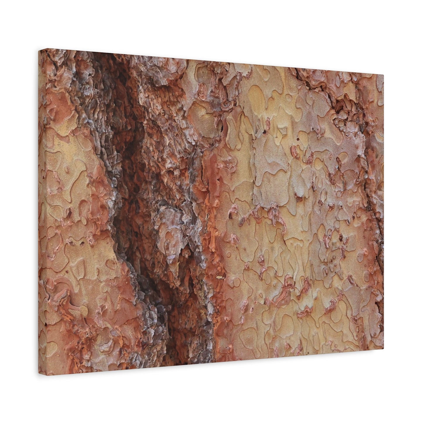 Arboreal Secrets - Unique Frameless Canvas Wall Art - Art By Earth