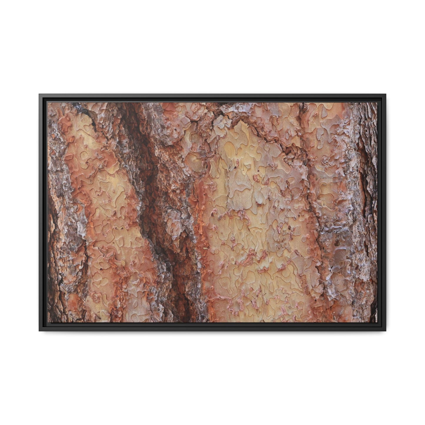 Rustic Rhythms - Unique Stretched Canvas Wall Art - Art By Earth