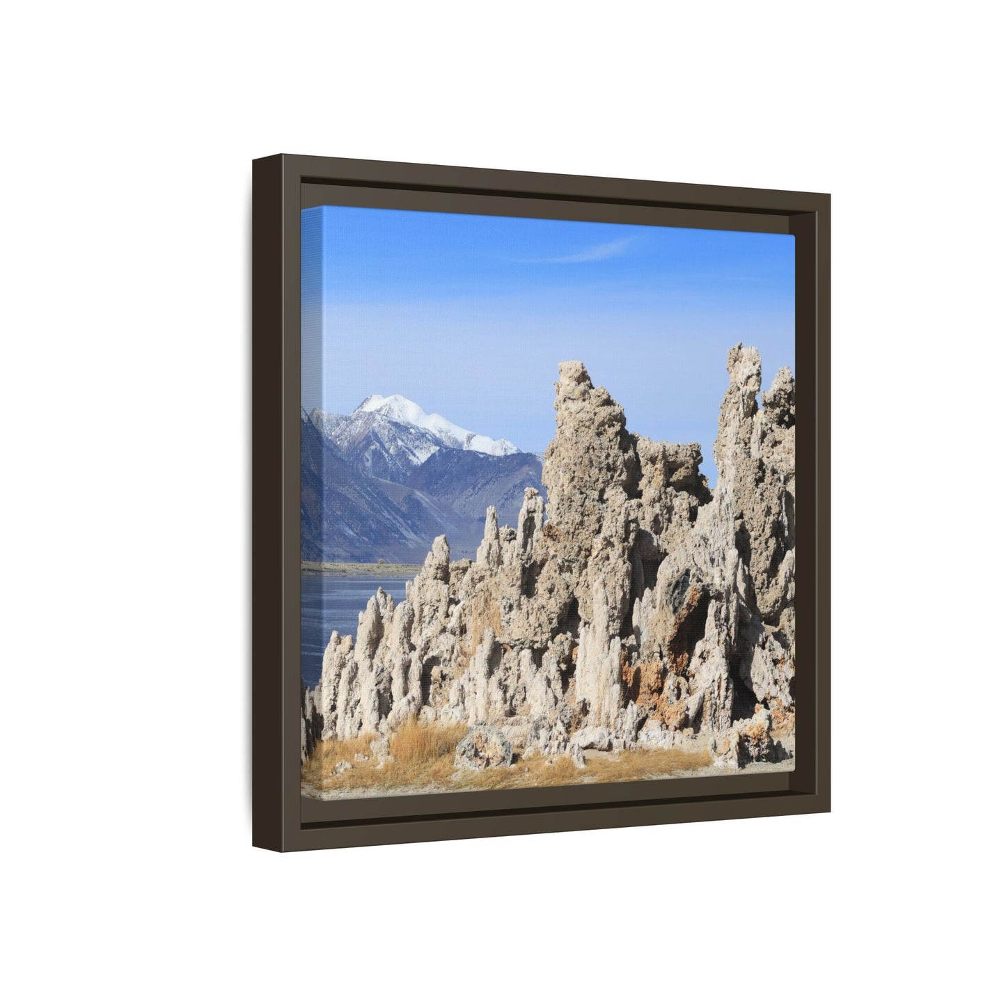Mono Lake Tufa - Unique Stretched Canvas Wall Art