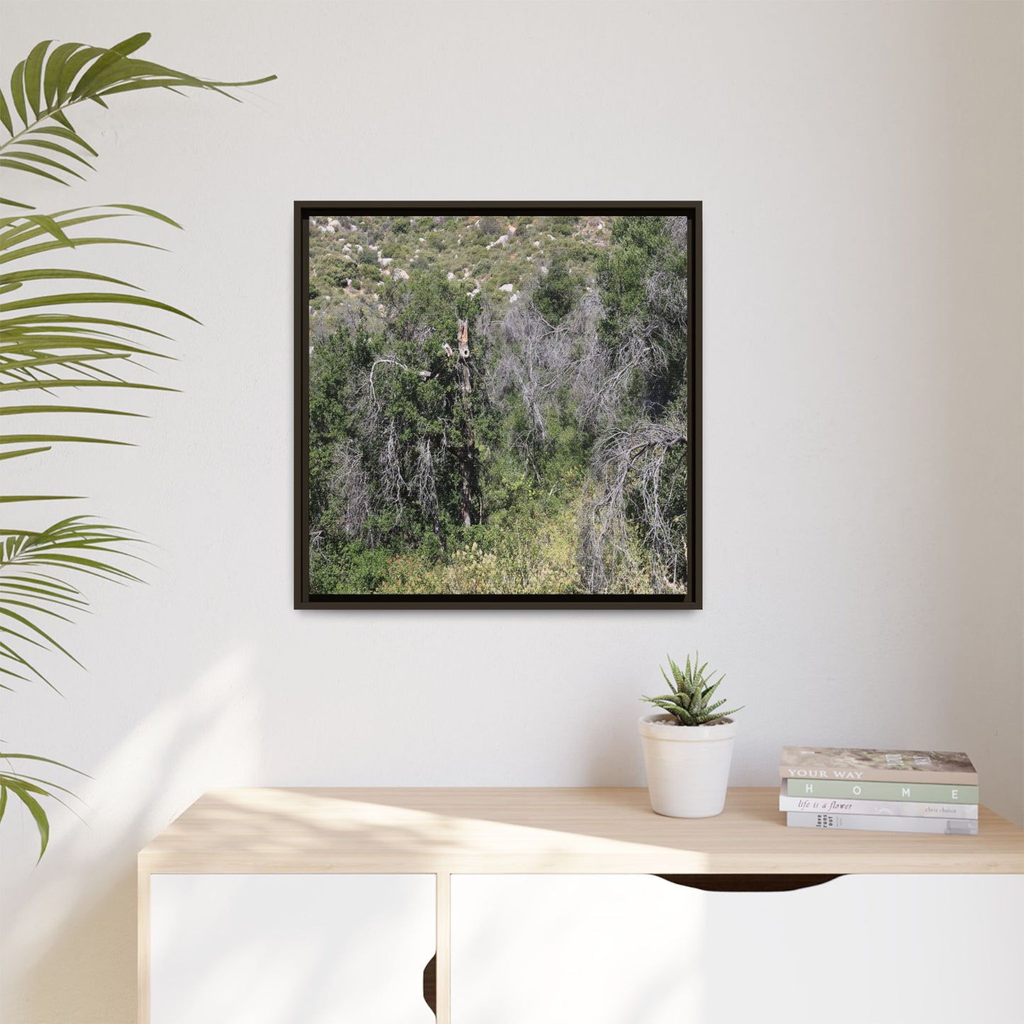 Forest Decline - Unique Stretched Canvas Wall Art