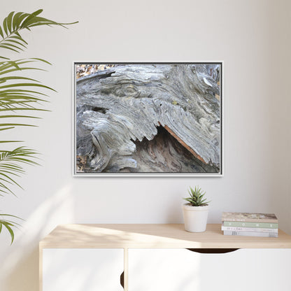Driftwood Dreams - Unique Stretched Canvas Wall Art - Art By Earth