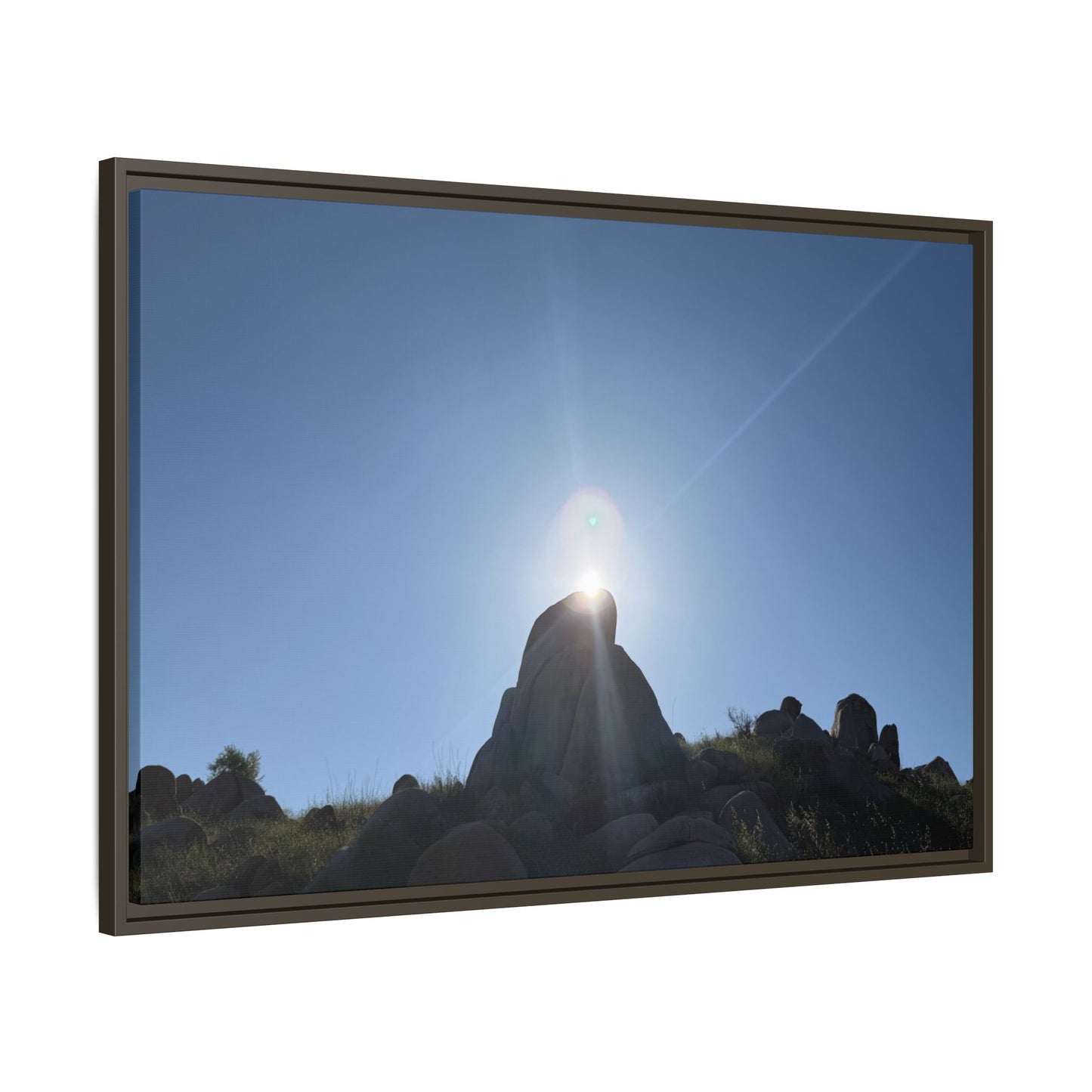 Sunburst - Unique Stretched Canvas Wall Art - Art By Earth