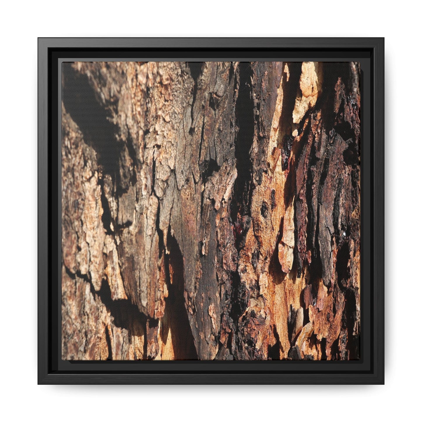 Rugged Beauty - Unique Stretched Canvas Wall Art - Art By Earth