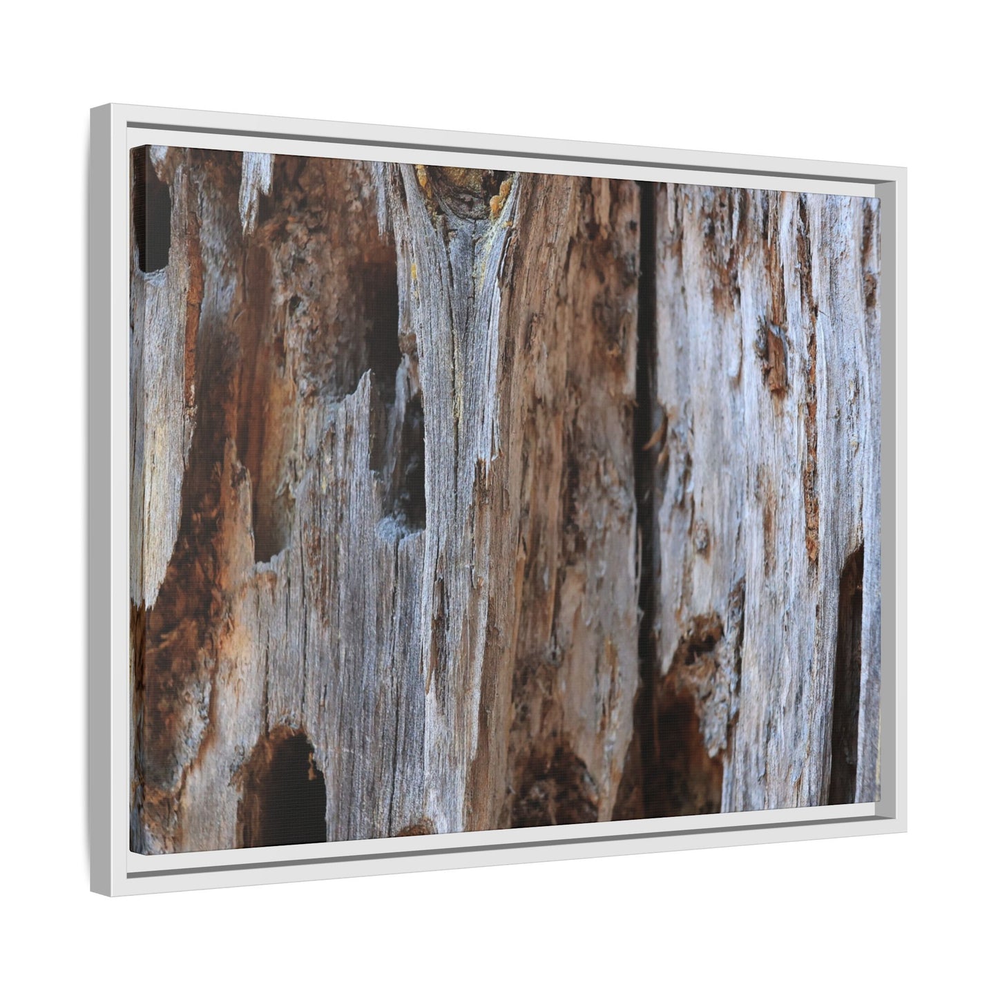 Decaying Splendor - Unique Stretched Canvas Wall Art - Art By Earth