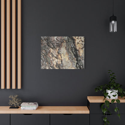Tree Bark Symphony - Unique Frameless Canvas Wall Art - Art By Earth