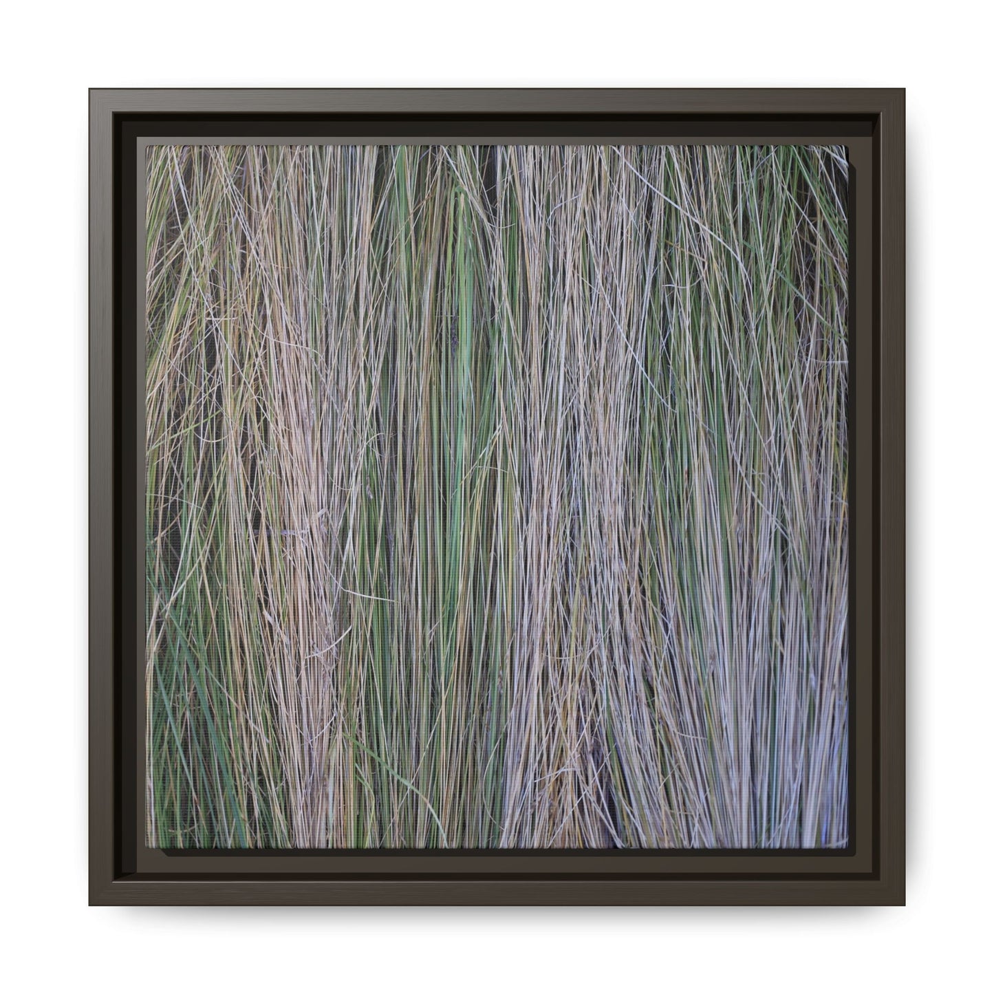 Whispers of Silver Grass - Unique Stretched Canvas Wall Art - Art By Earth