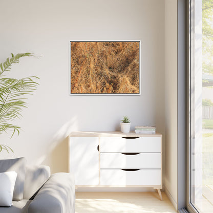 Dried Vegetation Study - Unique Stretched Canvas Wall Art - Art By Earth
