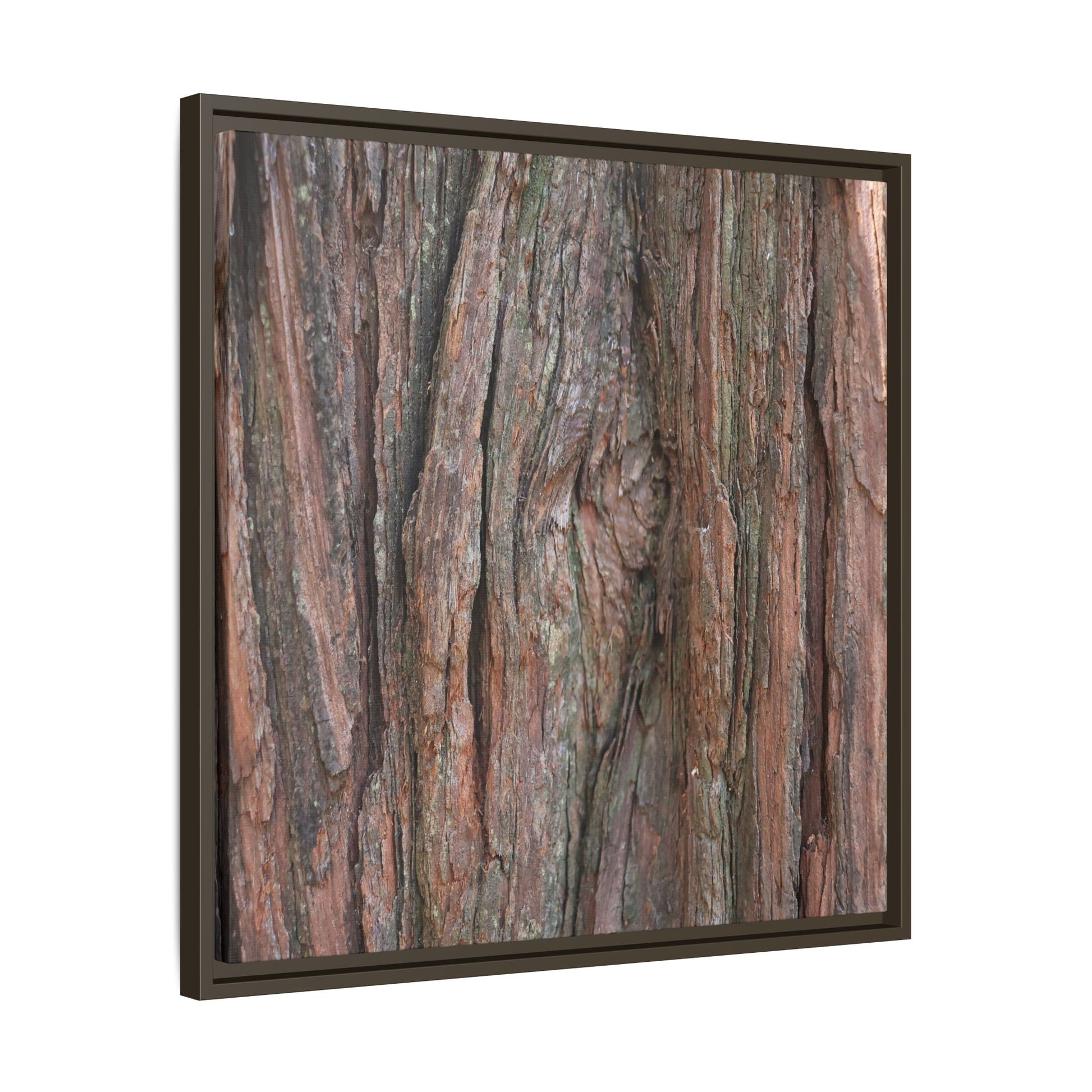 Rugged Textures - Unique Stretched Canvas Wall Art - Art By Earth
