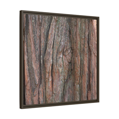 Rugged Textures - Unique Stretched Canvas Wall Art - Art By Earth