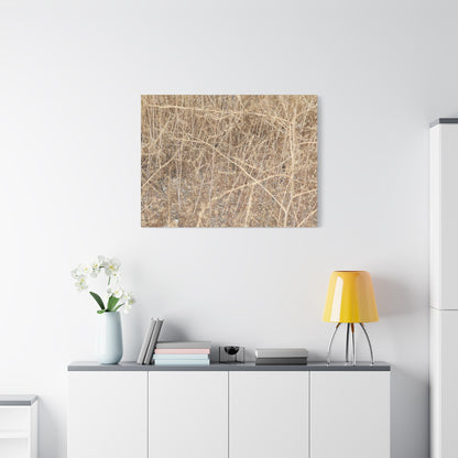 Dry Echoes - Unique Frameless Canvas Wall Art - Art By Earth