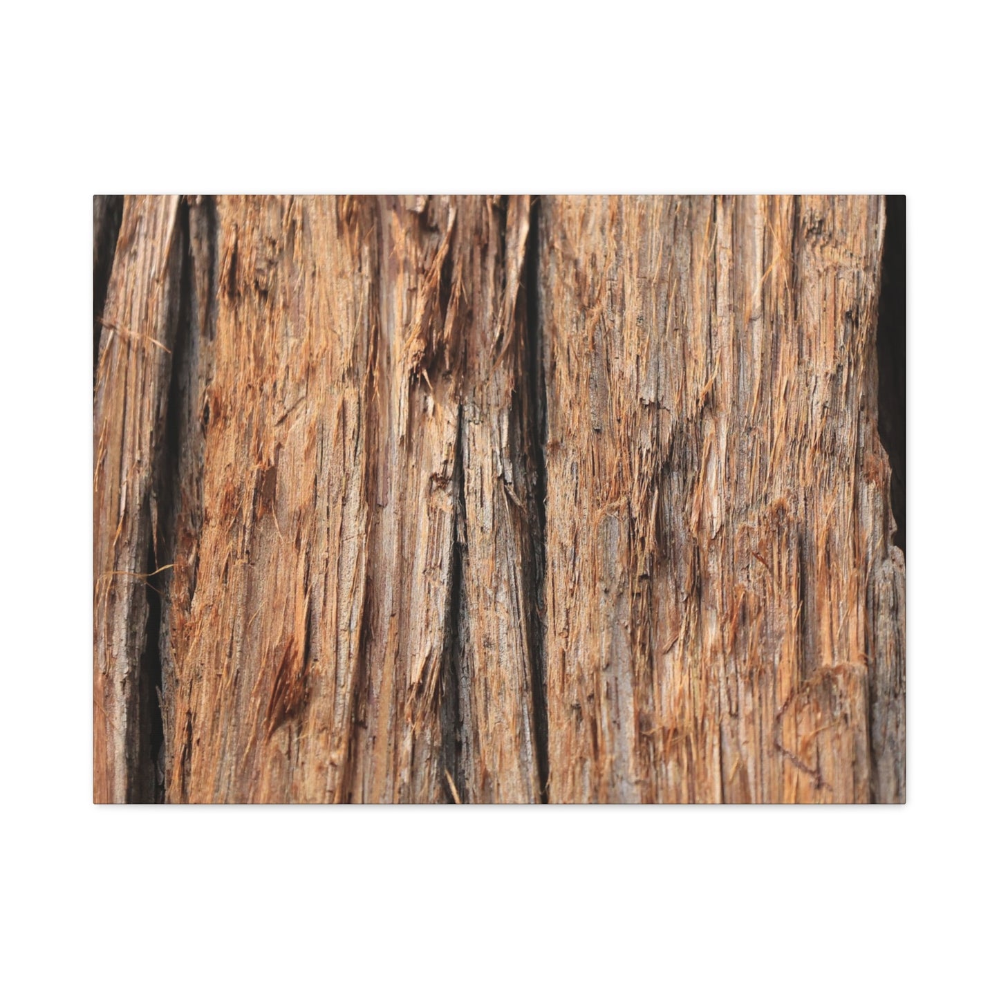 Woodland Echoes - Unique Frameless Canvas Wall Art - Art By Earth