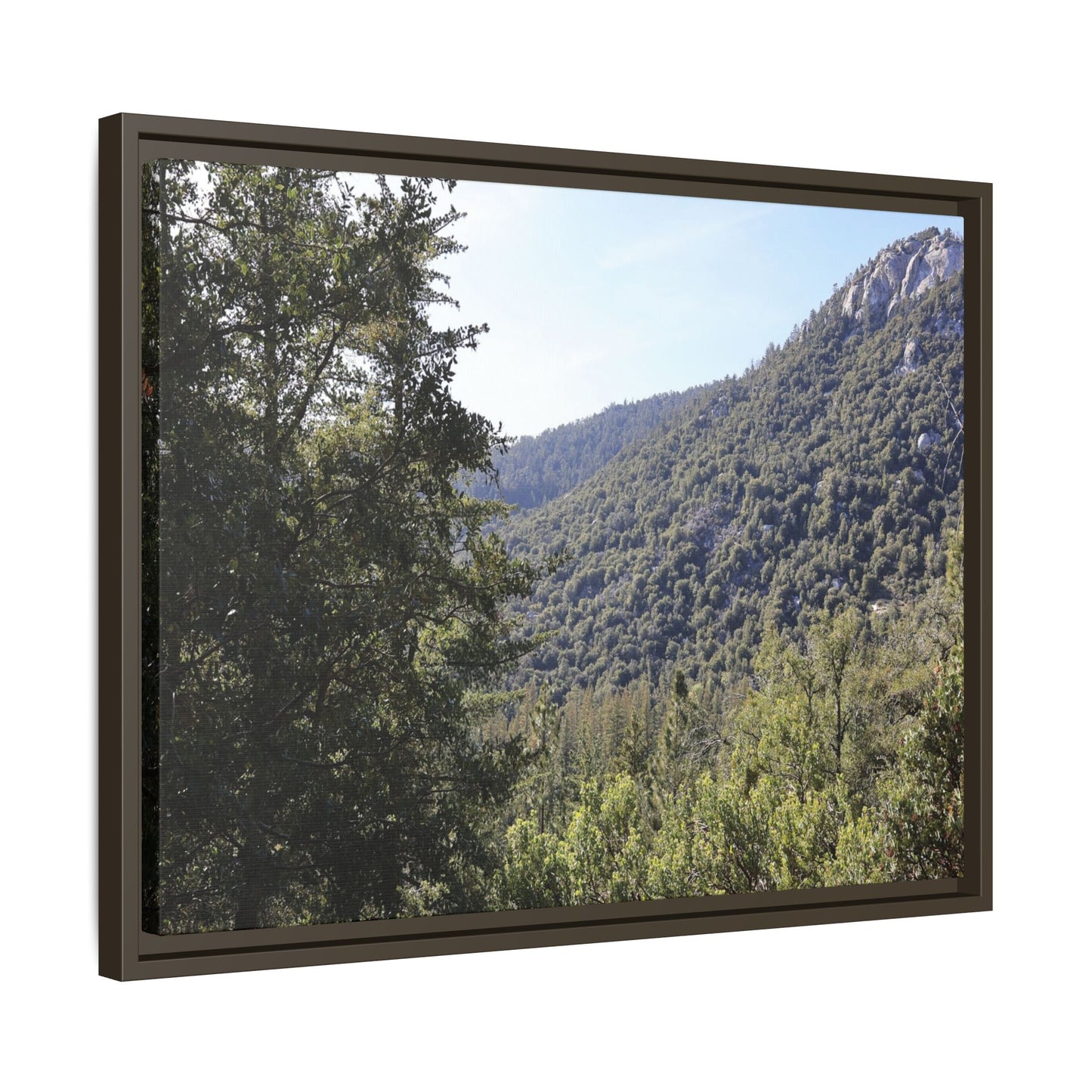 Mountain Valley Forest - Unique Stretched Canvas Wall Art