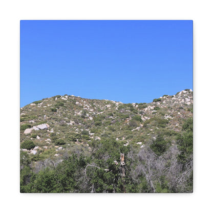 Rocky Hills with Desert Vegetation - Unique Frameless Canvas Wall Art