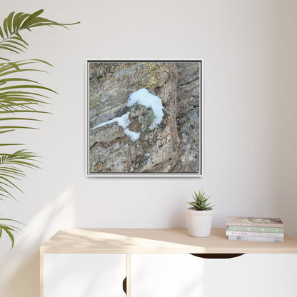 Lichen's Embrace - Unique Stretched Canvas Wall Art