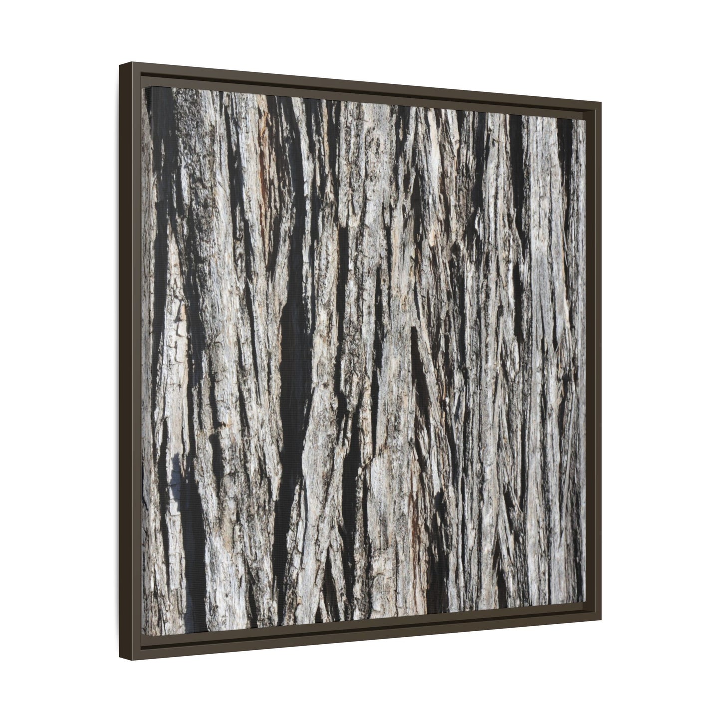 Nature's Abstract - Unique Stretched Canvas Wall Art - Art By Earth