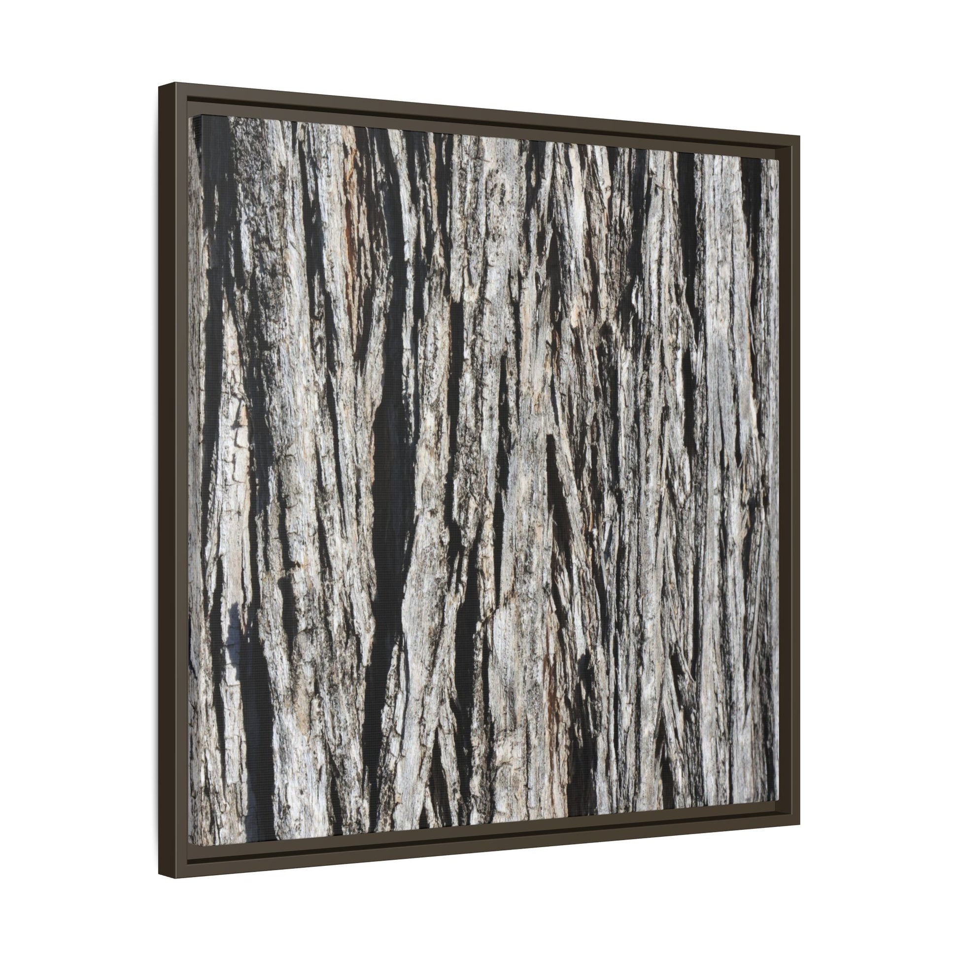 Nature's Abstract - Unique Stretched Canvas Wall Art - Art By Earth