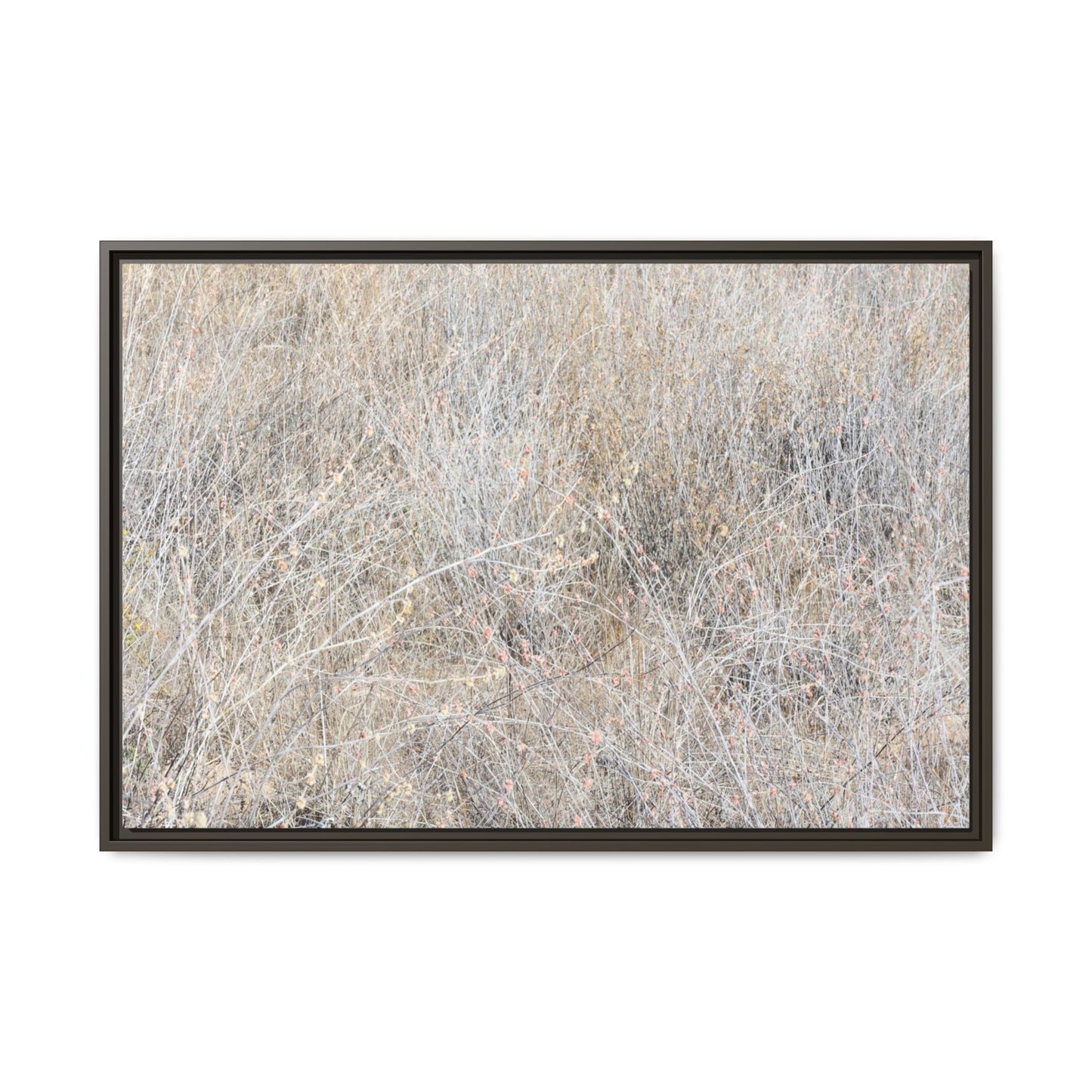 Whispers of Dry Grass - Unique Stretched Canvas Wall Art - Art By Earth