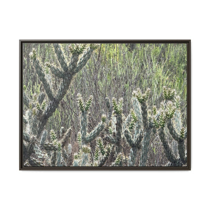 Prickly Paradise - Unique Stretched Canvas Wall Art - Art By Earth