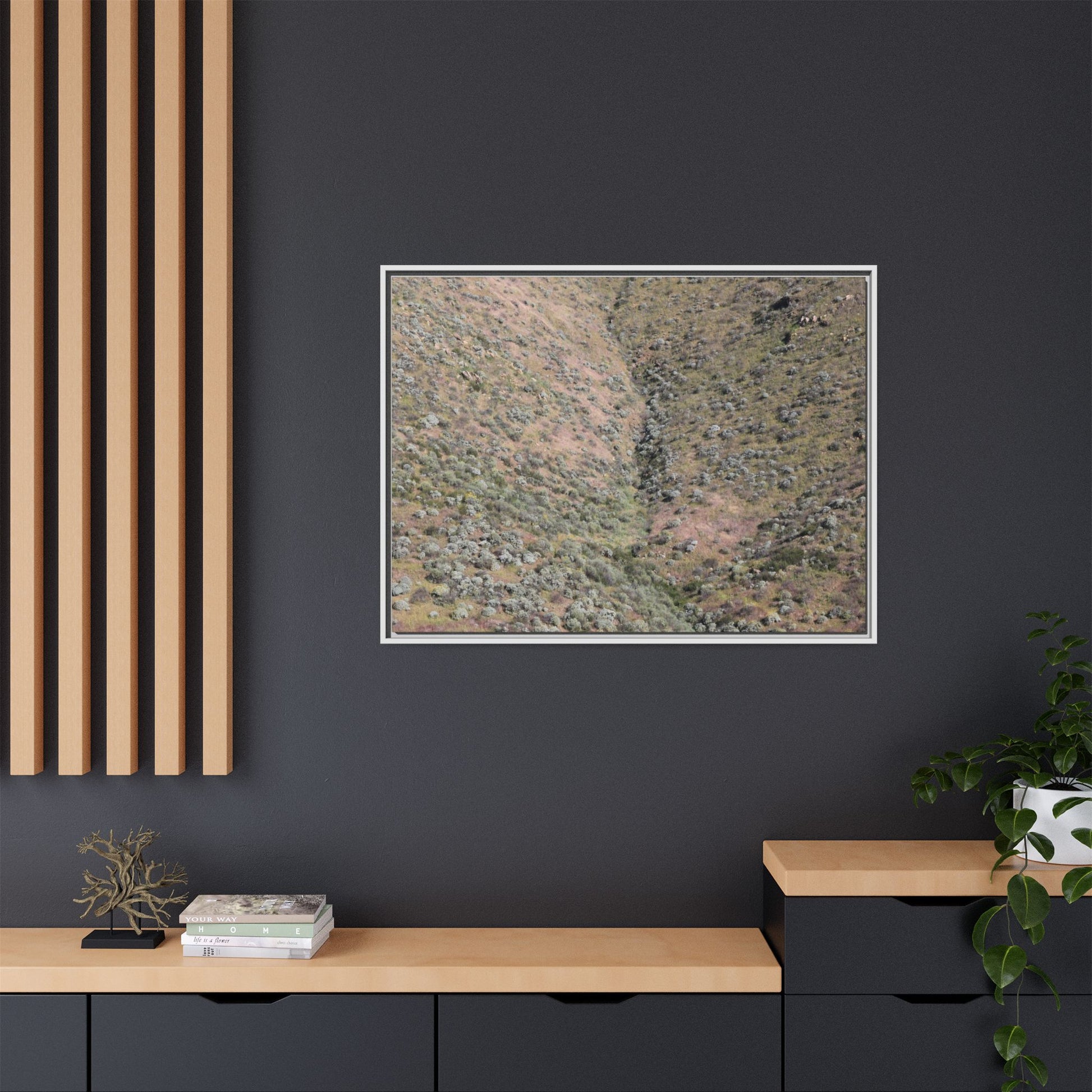 Mountain Slope with Desert Vegetation - Unique Stretched Canvas Wall Art - Art By Earth