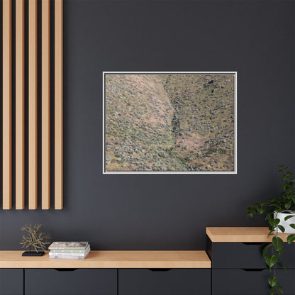 Mountain Slope with Desert Vegetation - Unique Stretched Canvas Wall Art - Art By Earth