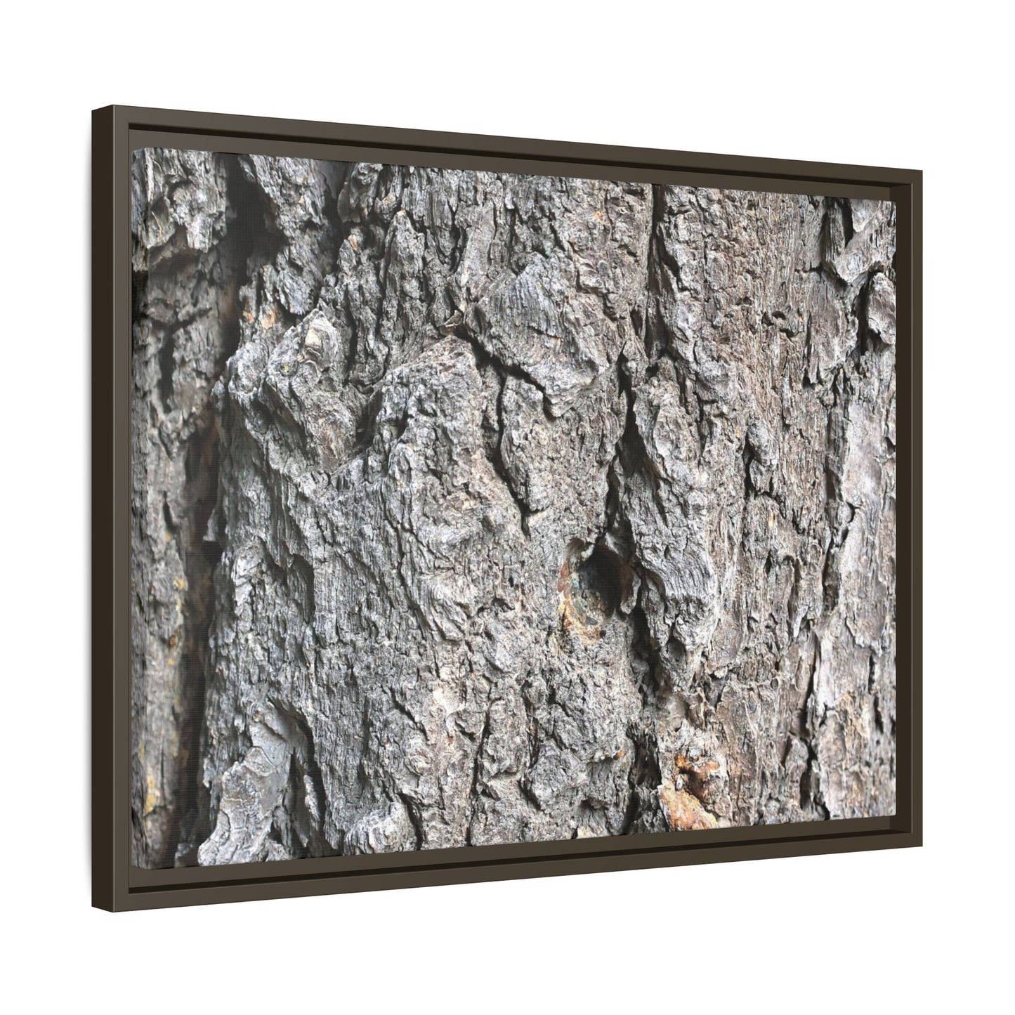 Crusty Exterior - Unique Stretched Canvas Wall Art - Art By Earth