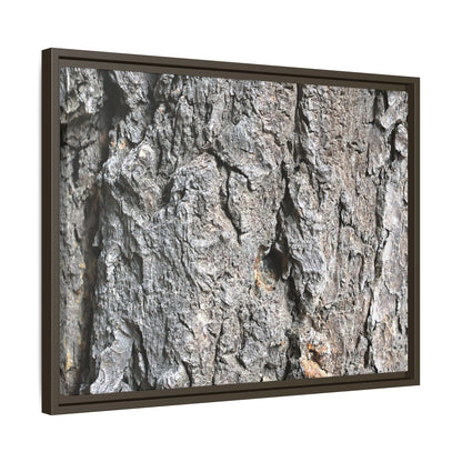 Crusty Exterior - Unique Stretched Canvas Wall Art - Art By Earth