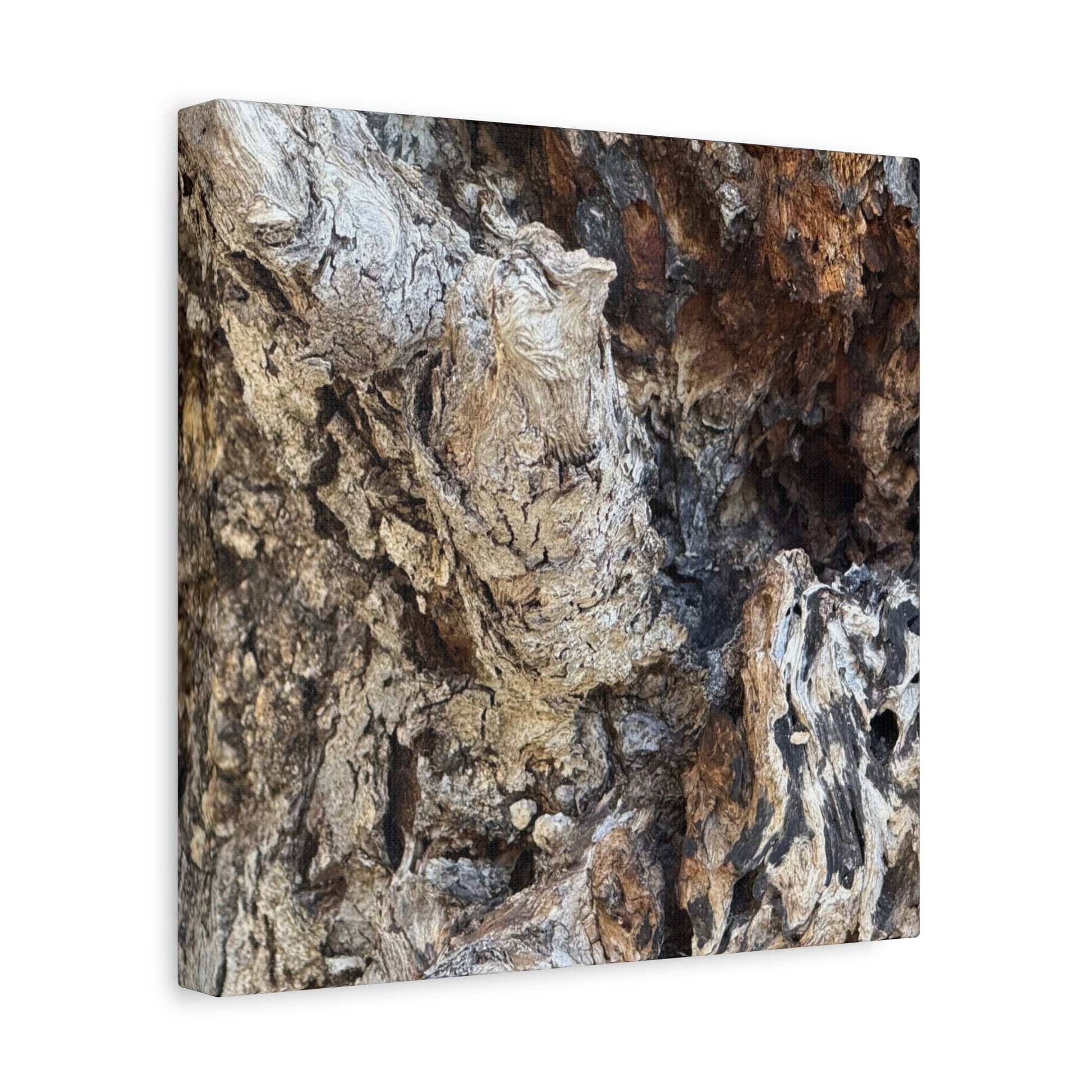 Weathered Bark Texture - Unique Frameless Canvas Wall Art - Art By Earth
