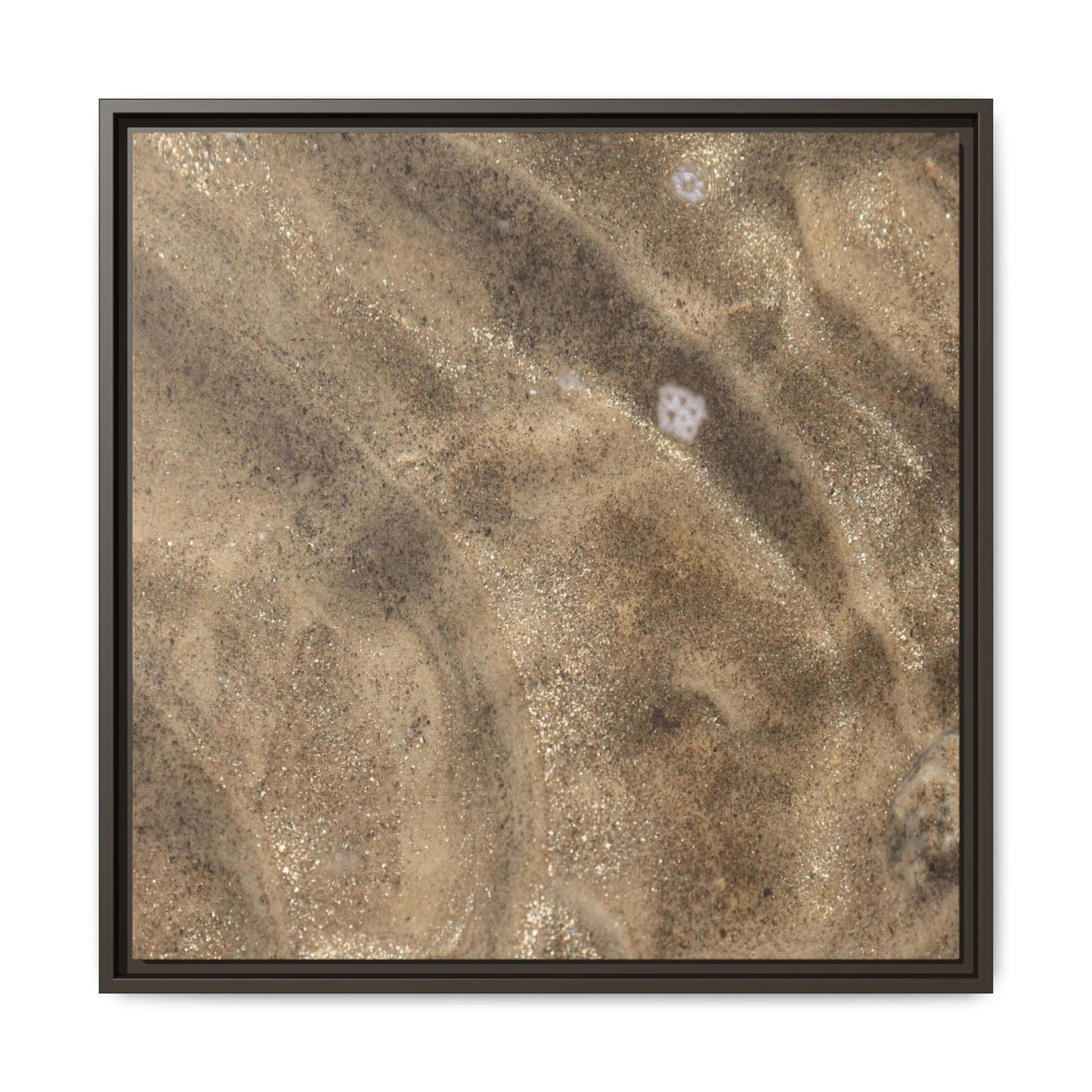 Underwater Sand Exploration - Unique Stretched Canvas Wall Art - Art By Earth