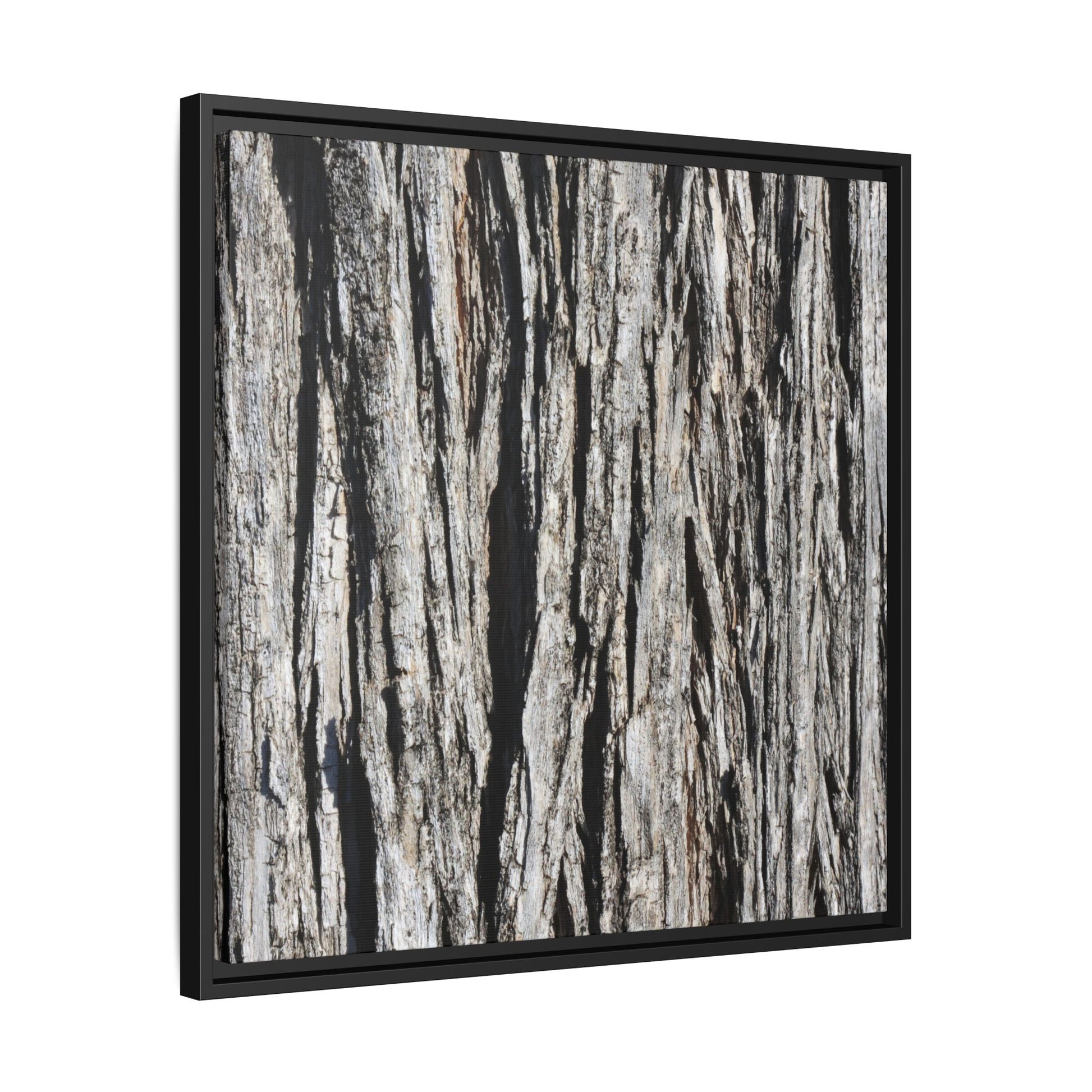 Bark Lines - Unique Stretched Canvas Wall Art - Art By Earth