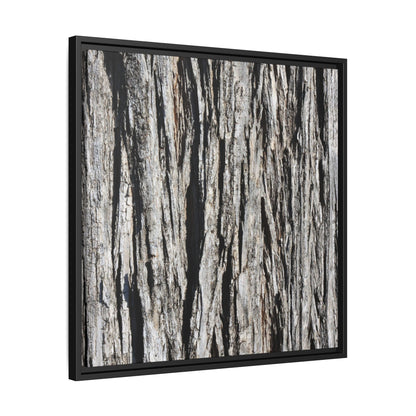 Bark Lines - Unique Stretched Canvas Wall Art - Art By Earth