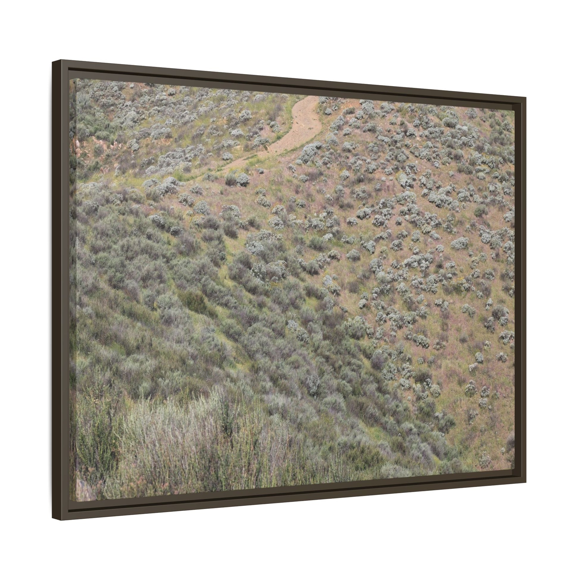 Arid Landscape with Winding Path - Unique Stretched Canvas Wall Art - Art By Earth