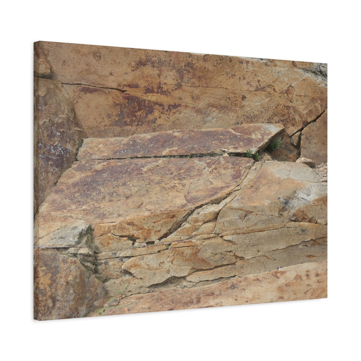 Rocky Terrain - Unique Frameless Canvas Wall Art - Art By Earth