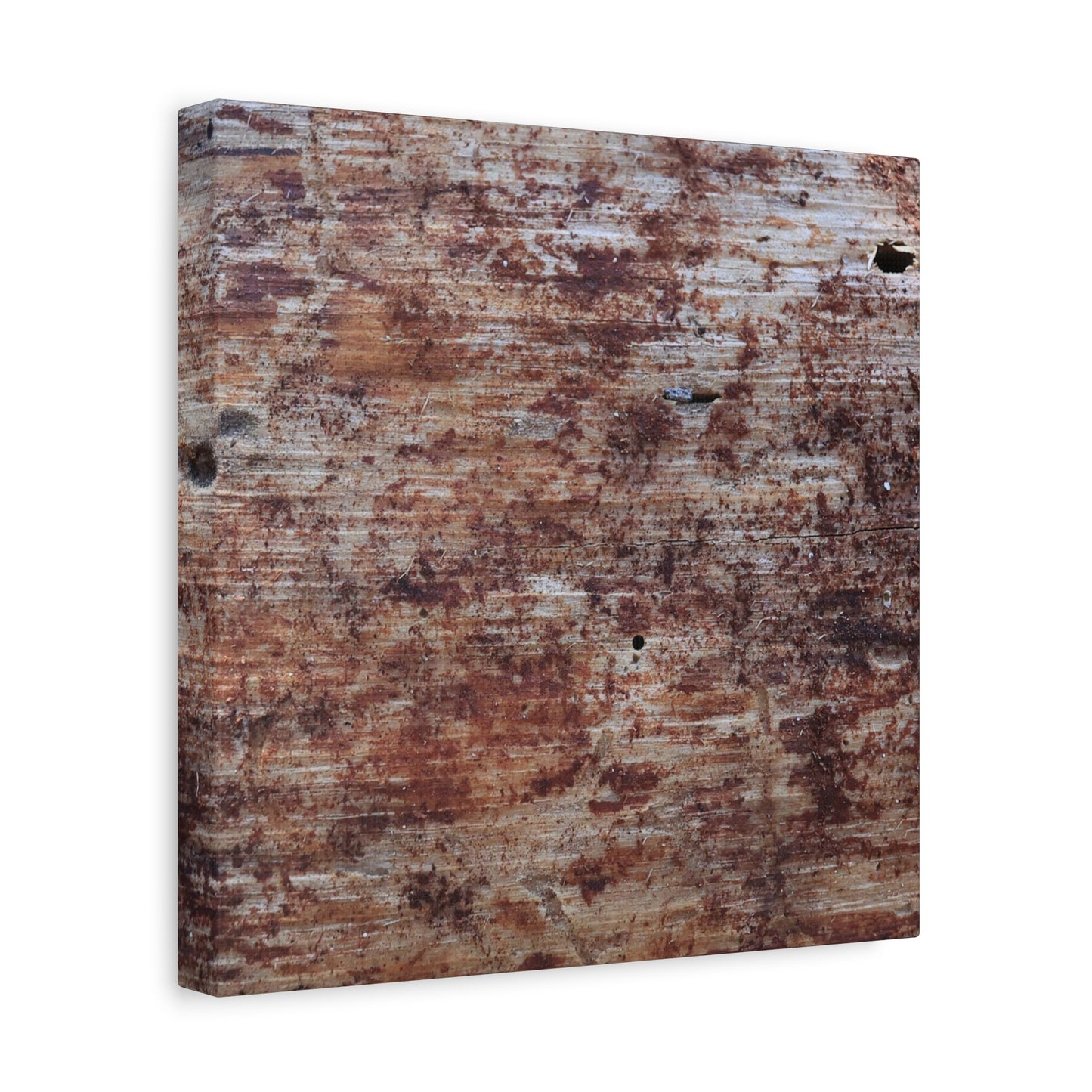 Decaying Memoir - Unique Frameless Canvas Wall Art - Art By Earth